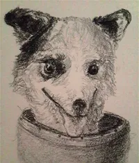 2016-01-13-soviet-space-dog