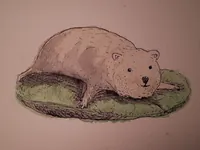 2019-10-12-wombat