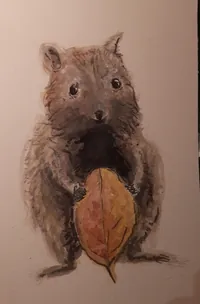 2019-11-03-quokka-em